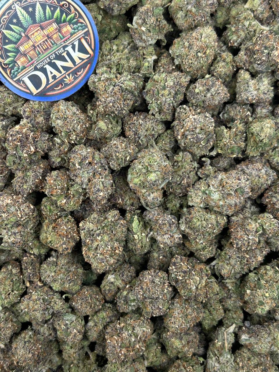 LEMON GELATTI