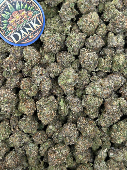 LEMON GELATTI