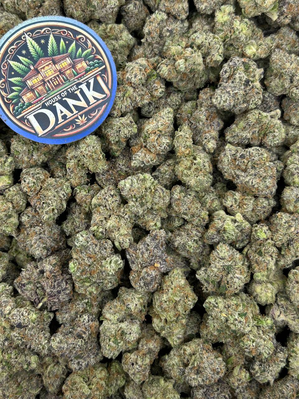 TROPIC CANDY