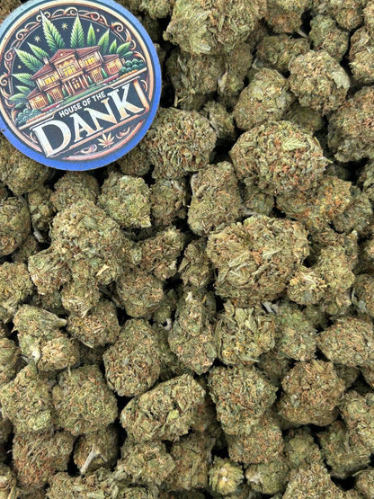CHERRY LEMON BURST