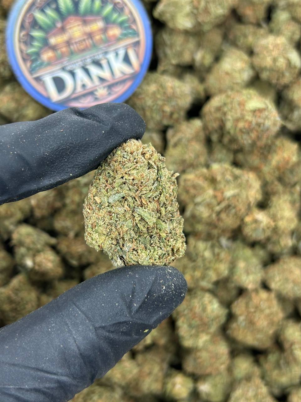CHERRY LEMON BURST