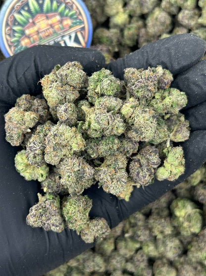 GUM DROP RUNTZ MEDS