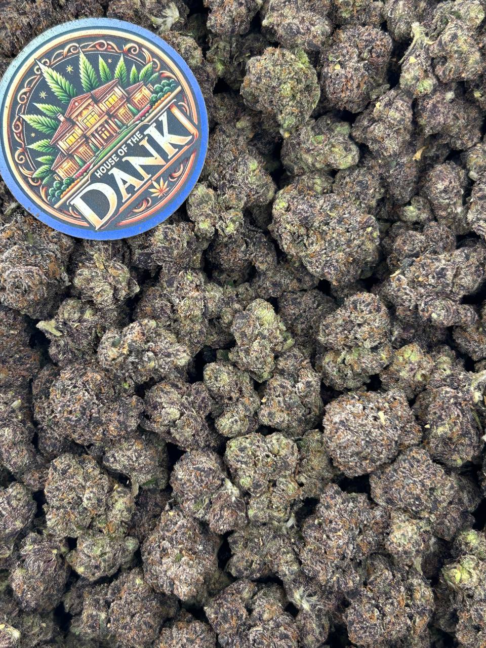 BLUEBERRY SPLASH