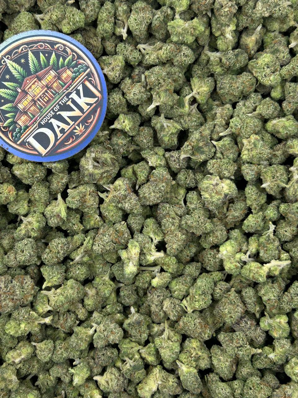 LEMON GELATO SMALLS