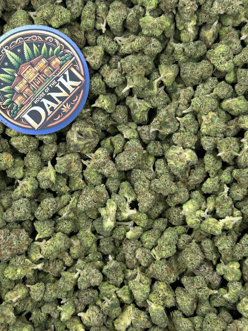 LEMON GELATO SMALLS