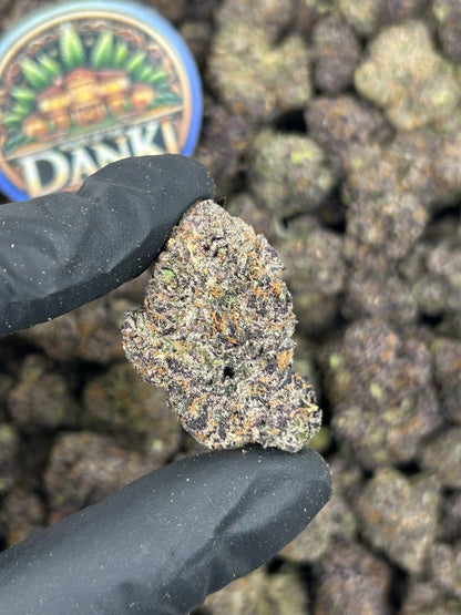 PLUSHBERRY ICE