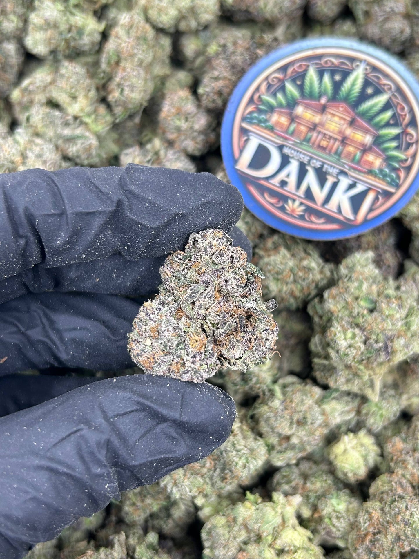 PINEAPPLE CRUSH