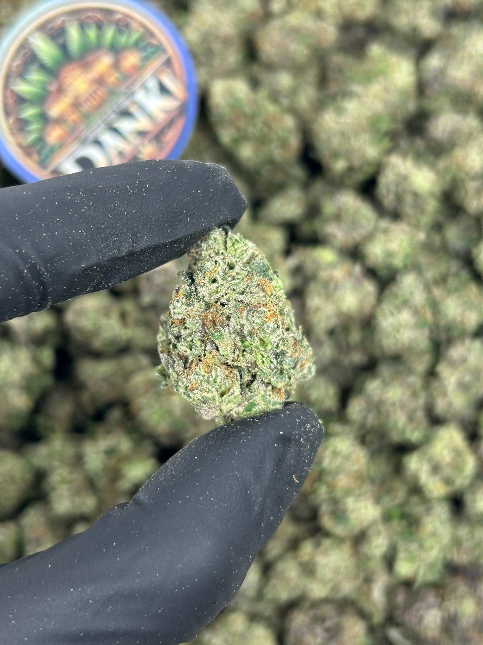 GALAXY DIESEL