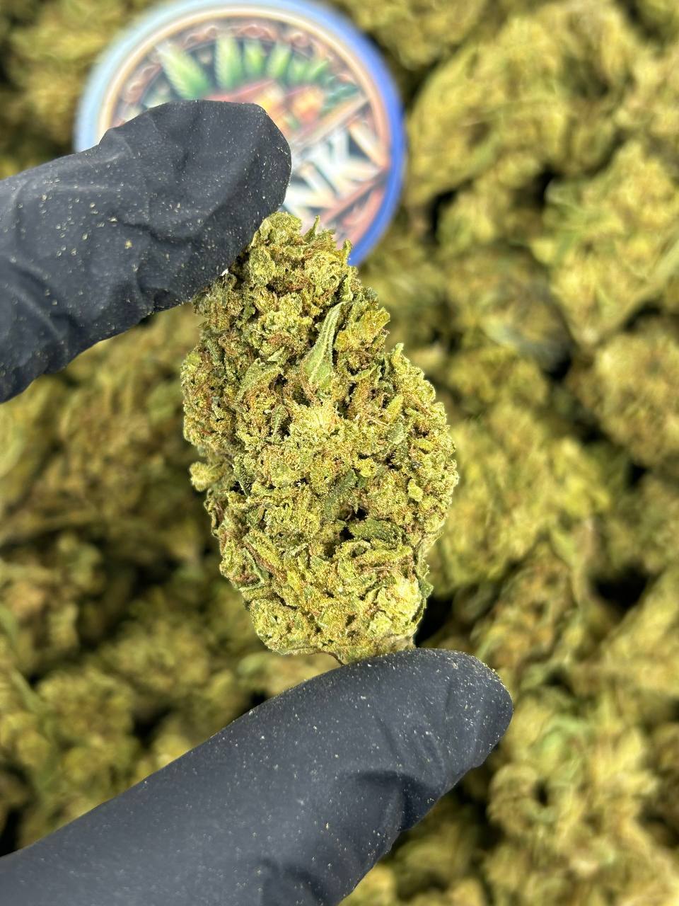 CARBON OG