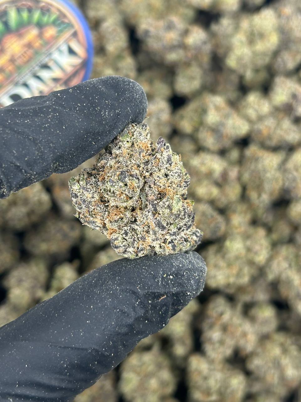 LEMON CHERRY BURST