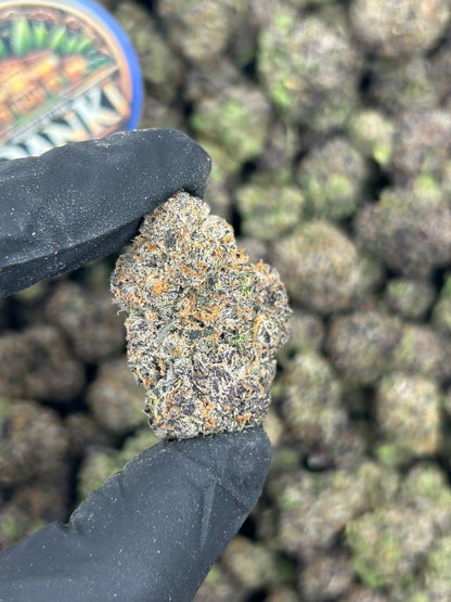 LIME GELATO