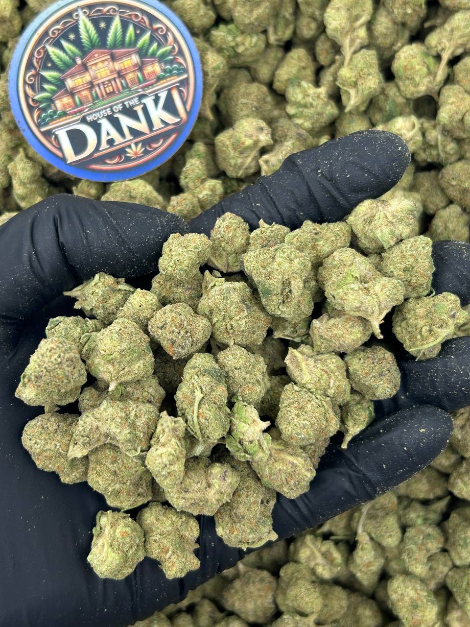 MELON POP SMALLS