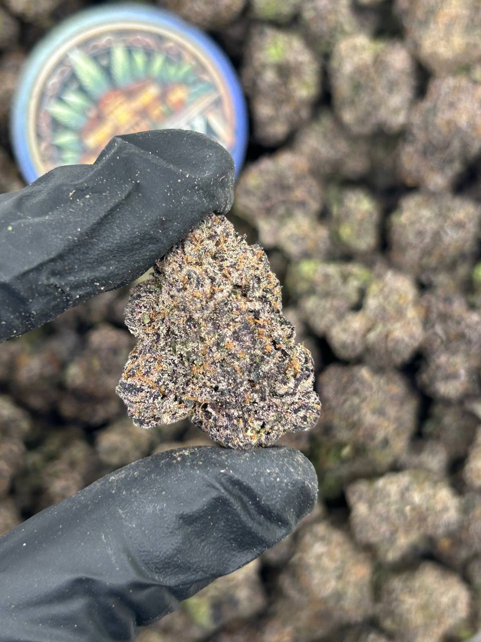 GALACTIC BLUEBERRY