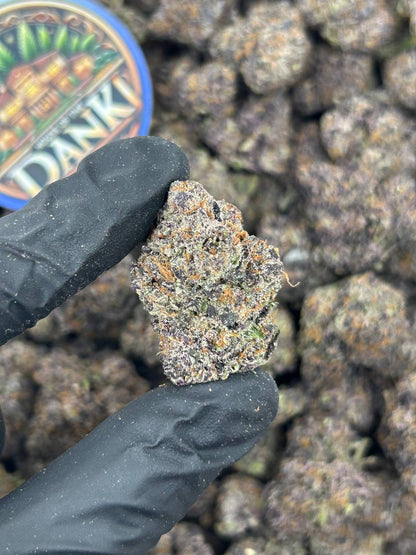 LEMON GLUE POP