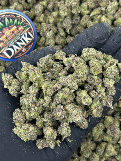 BLUE ZOOSHI SMALLS