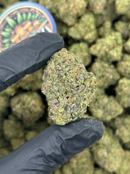MOCHI BERRIEZ