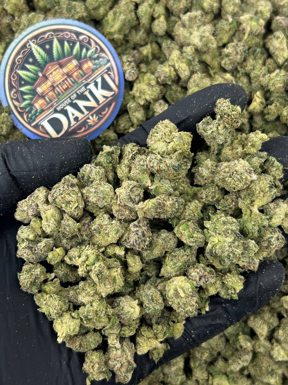 GUMMY BEARS SMALLS