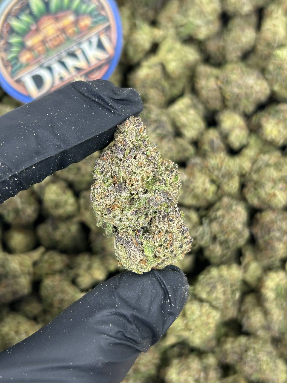 BLUE CANDY