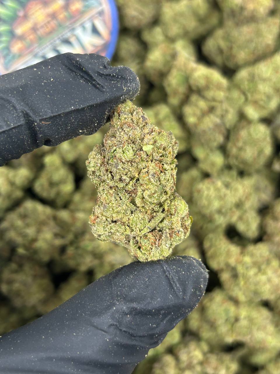 COTTON CANDY