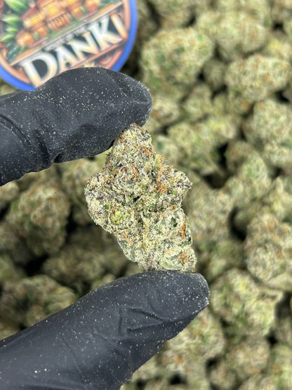 BLUE GUSHERZ