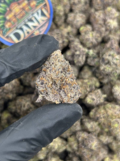 MANGO MARTIANS