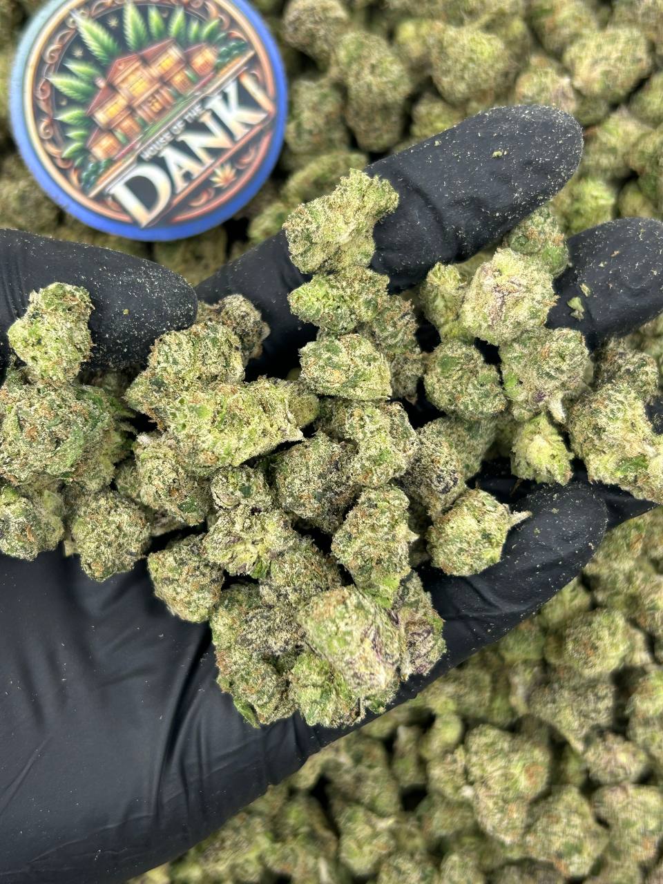 BLUE DIAMOND SMALLS