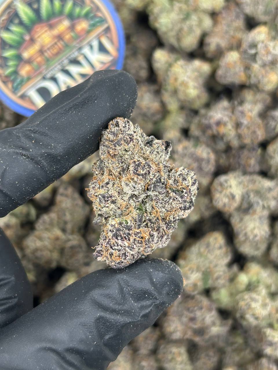 BUBBLEGUM RUNTZ