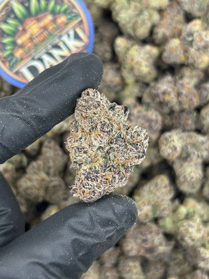 BUBBLEGUM RUNTZ