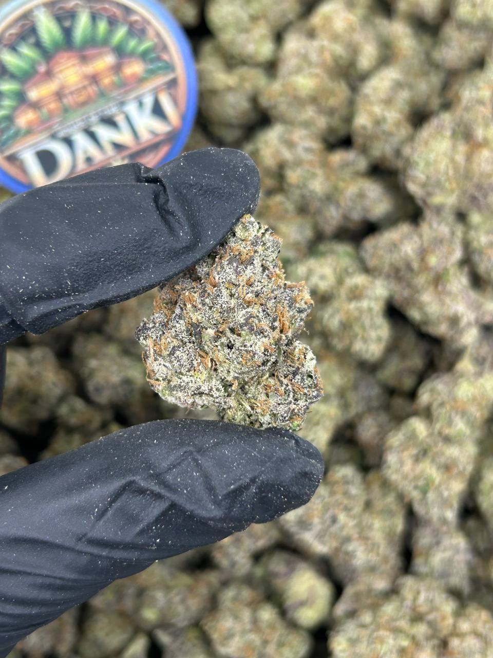 TRUFFLE CANDY