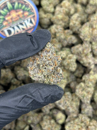 TRUFFLE CANDY