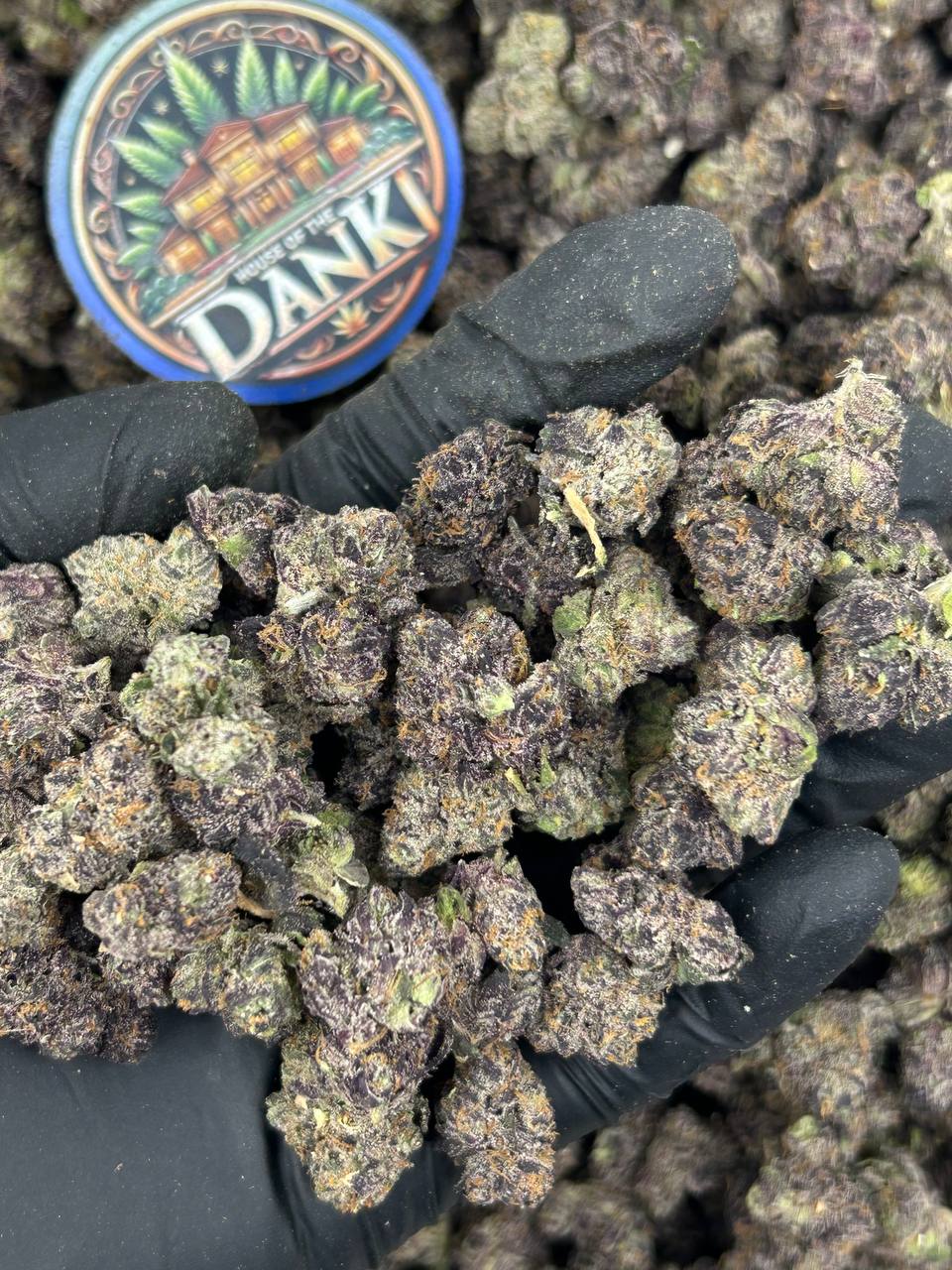 PLUSHBERRY ICE MEDIUMS