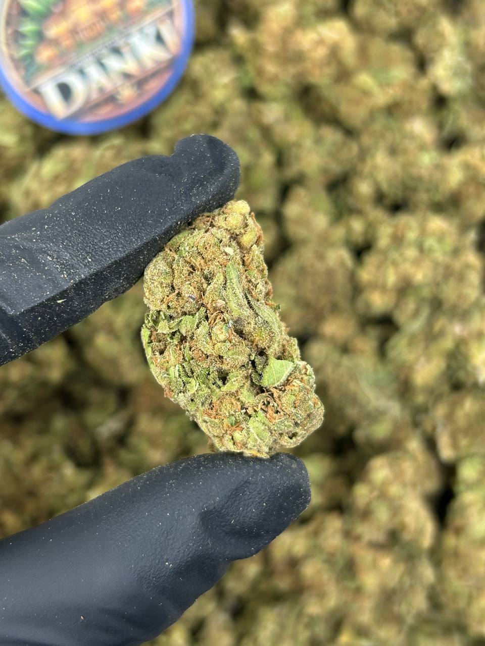BLUE CANDIES