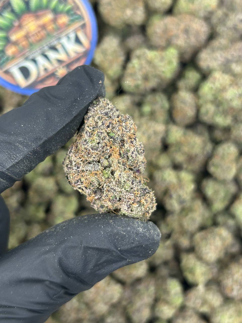 GREEN APPLE ZKITTLEZ