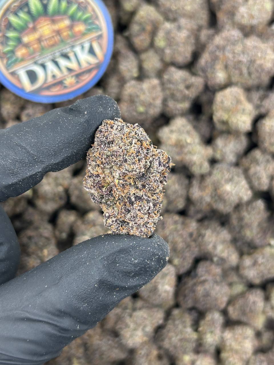BLUEBERRY BACCARAT