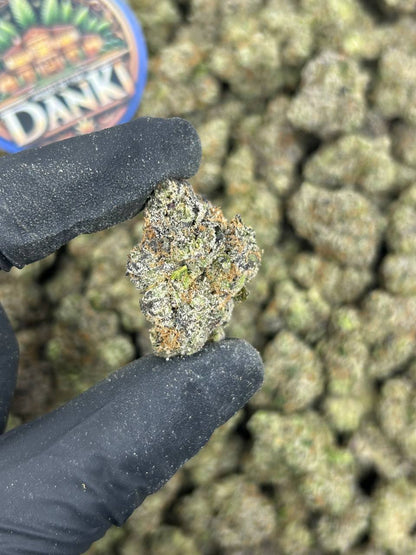 TROPIC CANDY